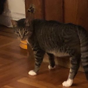 Meet your Posher, Fernando